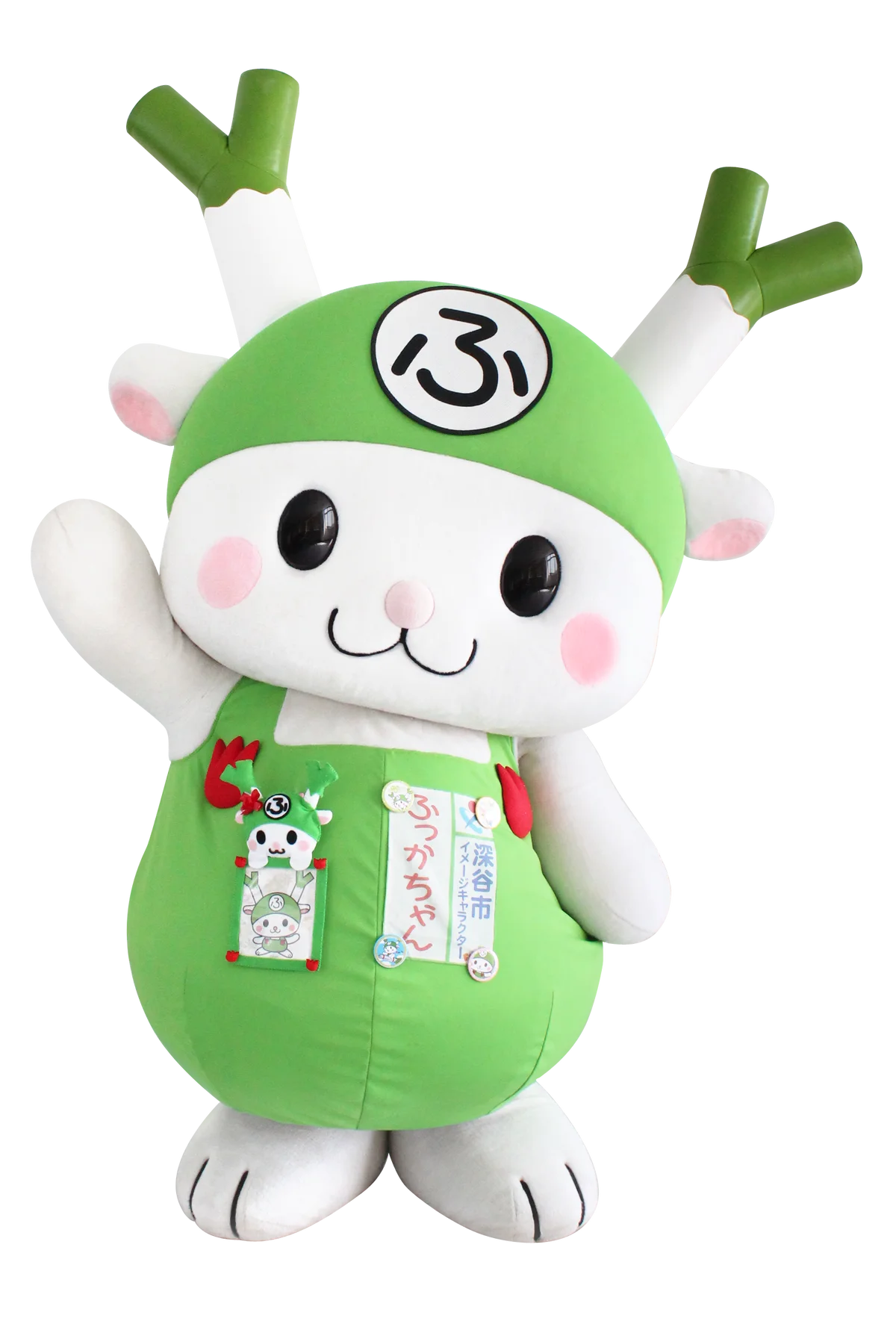 大切な人を深谷ねぎでねぎらおう！ １１月２３日　勤労感謝の日は『深谷ねぎらいの日』 画像 6