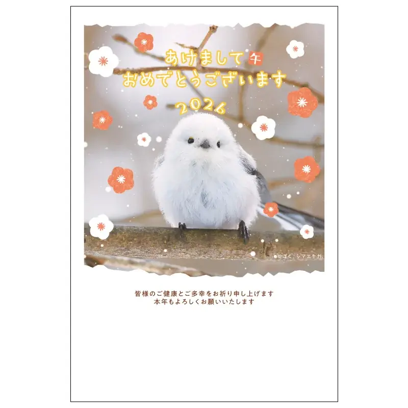 【発売記念】『ぼく、シマエナガ。鏡餅ぬいぐるみ』&『魚沼産こがねもち米100％使用 ぼく、シマエナガ。鏡餅』が当たる！プレゼントキャンペーンを開始します 画像 11