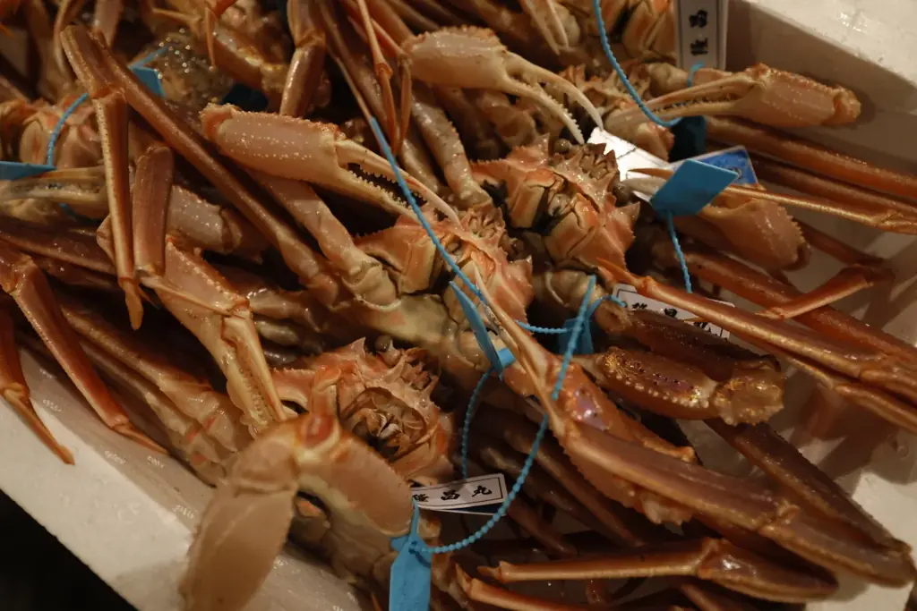 【3年ぶりに解禁初日の全地区出漁】11月6日にズワイガニ漁解禁、初セリと最高額を決める「蟹-1グランプリ」開催。石川県産の雄ズワイガニ（加能ガニ）の最高級ブランド「輝」は歴代2位の450万円で落札。 画像 3