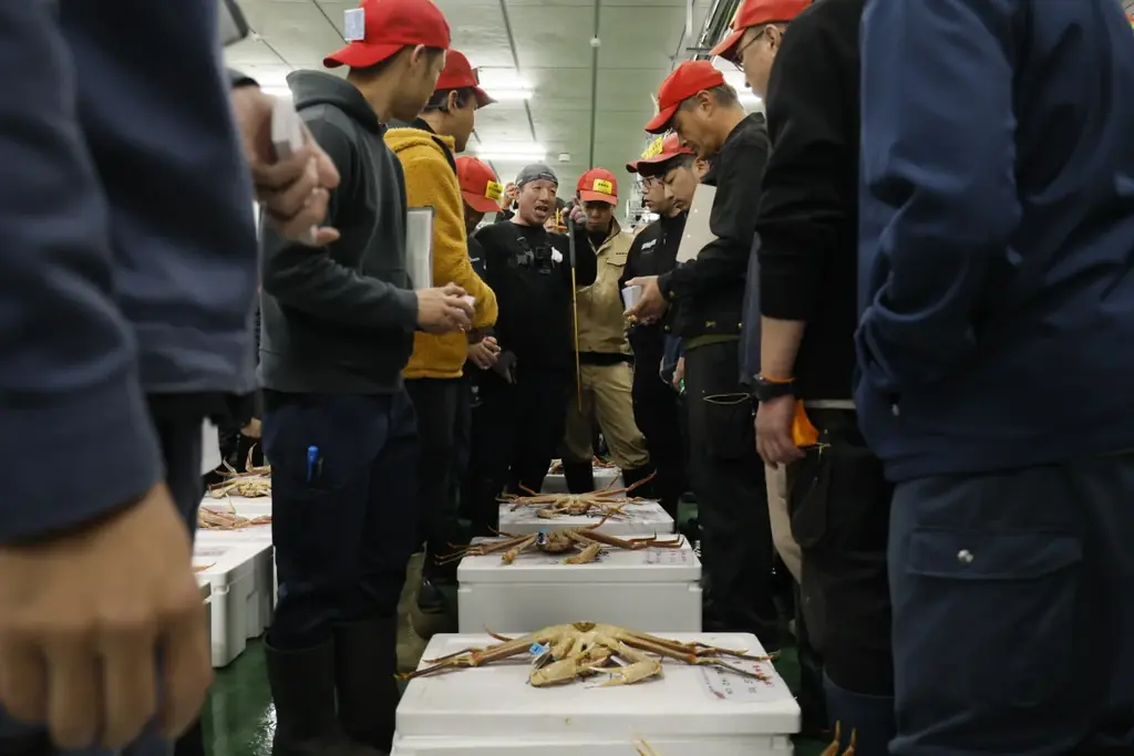 【3年ぶりに解禁初日の全地区出漁】11月6日にズワイガニ漁解禁、初セリと最高額を決める「蟹-1グランプリ」開催。石川県産の雄ズワイガニ（加能ガニ）の最高級ブランド「輝」は歴代2位の450万円で落札。 画像 4