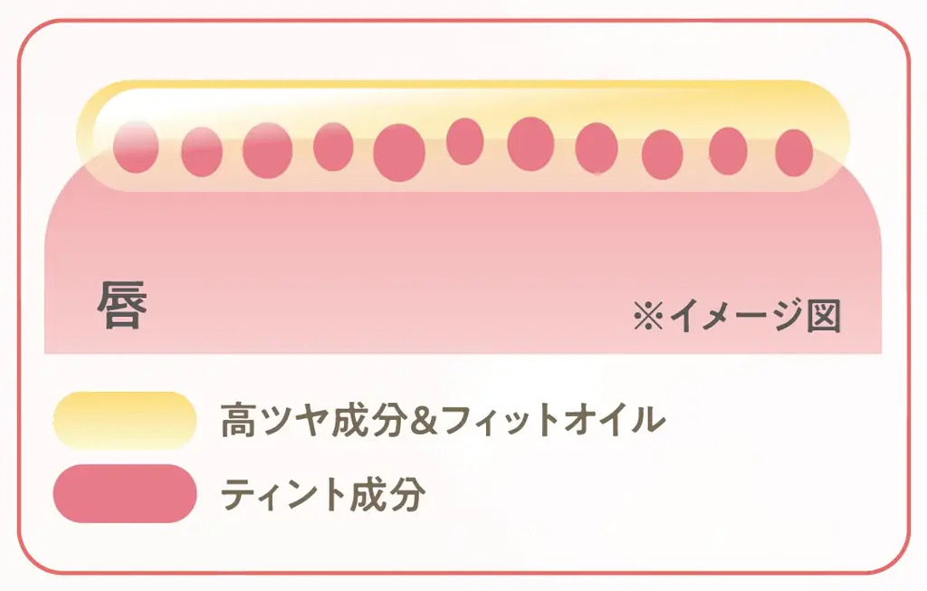 セザンヌ大人気リップがリニューアル！潤いツヤ唇を叶える美容液ティントリップ＆立体眉に仕上がるノーズシャドウ入りアイブロウパウダーが新登場 画像 6