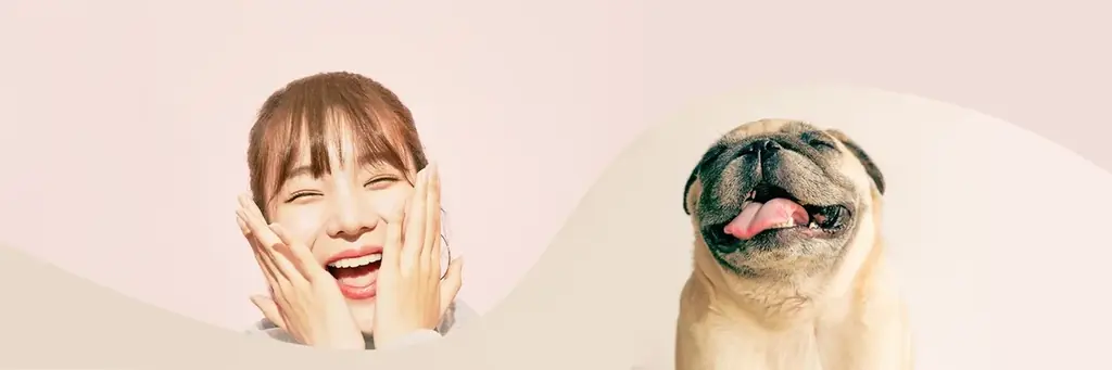 ■【「いい夫婦の日」目前！ 既婚者男女1250名へ「夫婦のリアル」を調査】ギフト事情に“温度差”判明　男性５割「贈る」に対し、女性６割「贈らない」 ～ 贈られたいギフト、男女ともに「夫婦で外食」が最多 画像 18