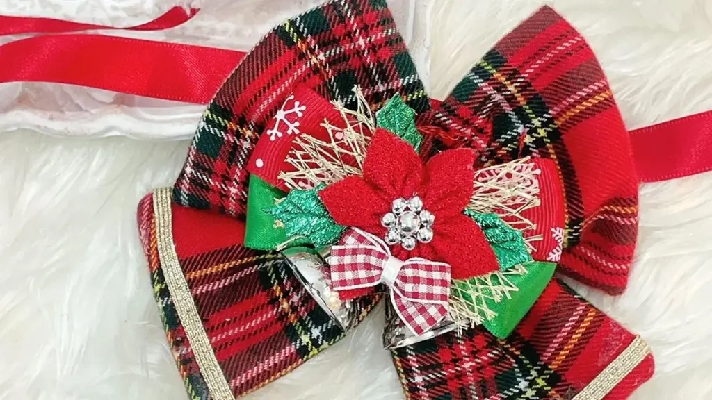 楽しさ満載の1日を先取り！「Fan Fun Day 2025 in Solana木更津」プログラム公開 画像 6