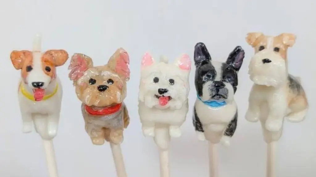 楽しさ満載の1日を先取り！「Fan Fun Day 2025 in Solana木更津」プログラム公開 画像 7