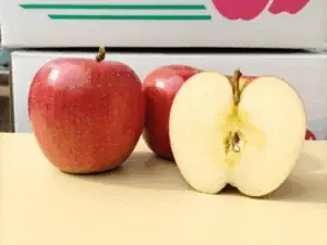 TAKANAWA GATEWAY CITYで初の3万人規模イベント『EAT JAPAN！〜Nippon Taste Festival〜』11月8日・9日開催 画像 11