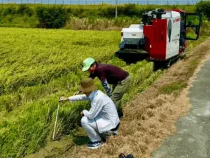TAKANAWA GATEWAY CITYで初の3万人規模イベント『EAT JAPAN！〜Nippon Taste Festival〜』11月8日・9日開催 画像 13