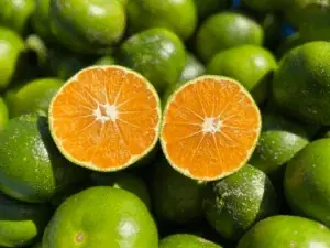 TAKANAWA GATEWAY CITYで初の3万人規模イベント『EAT JAPAN！〜Nippon Taste Festival〜』11月8日・9日開催 画像 19