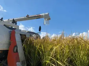 TAKANAWA GATEWAY CITYで初の3万人規模イベント『EAT JAPAN！〜Nippon Taste Festival〜』11月8日・9日開催 画像 5