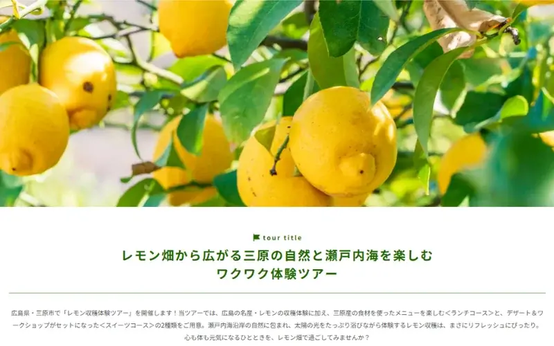 ANA「農園プロジェクト」広島県産レモン収穫体験ツアー2025年11月10日発売のお知らせ 画像 1