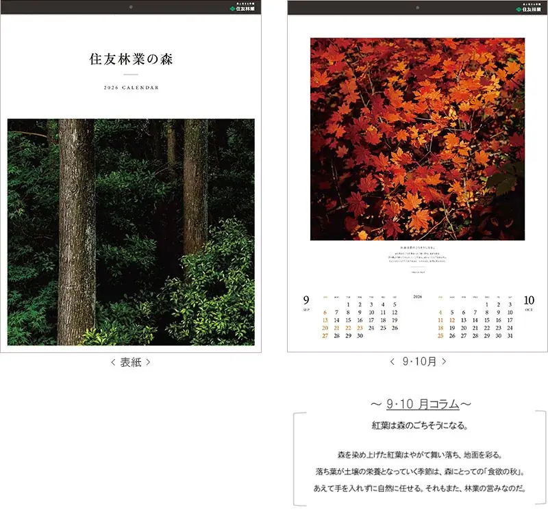 2026年オリジナルカレンダー「住友林業の森」　抽選で400名様にプレゼント　応募締切：2025年11月22日（土） 画像 2