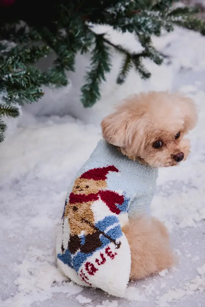 【gelato pique (ジェラート ピケ)】ぬくもりに包まれる、特別なホリデーシーズンを彩るルームウェア！選ぶ時間も楽しい、バリエーション豊富なHOLIDAY COLLECTIONを公開 画像 12