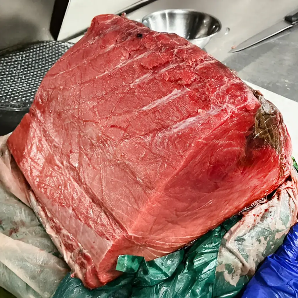 【名古屋初上陸】早くも2・3店舗目！テレビでも話題の刺身食べ放題「漁港食堂」が11月に 同月2店舗OPEN予定！ 画像 5