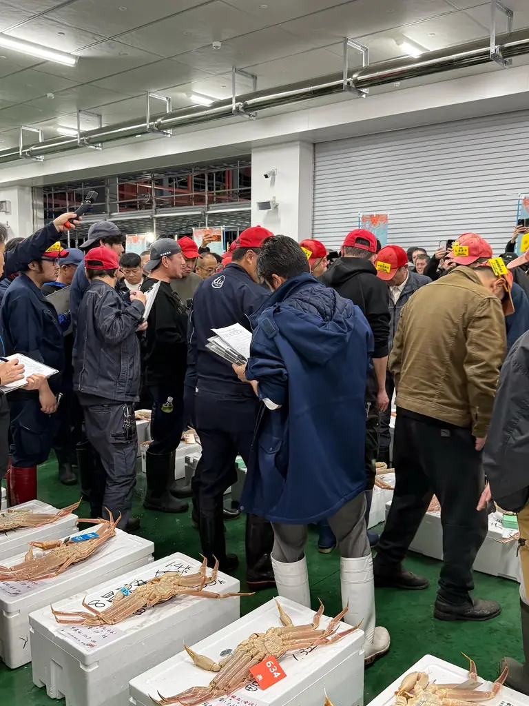 【金沢回転寿司 輝らり】“冬の味覚の女王”『香箱ガニ』が今年も登場！漁期わずか２か月未満の希少な美味を「カニ面」「軍艦巻き」で提供 画像 4