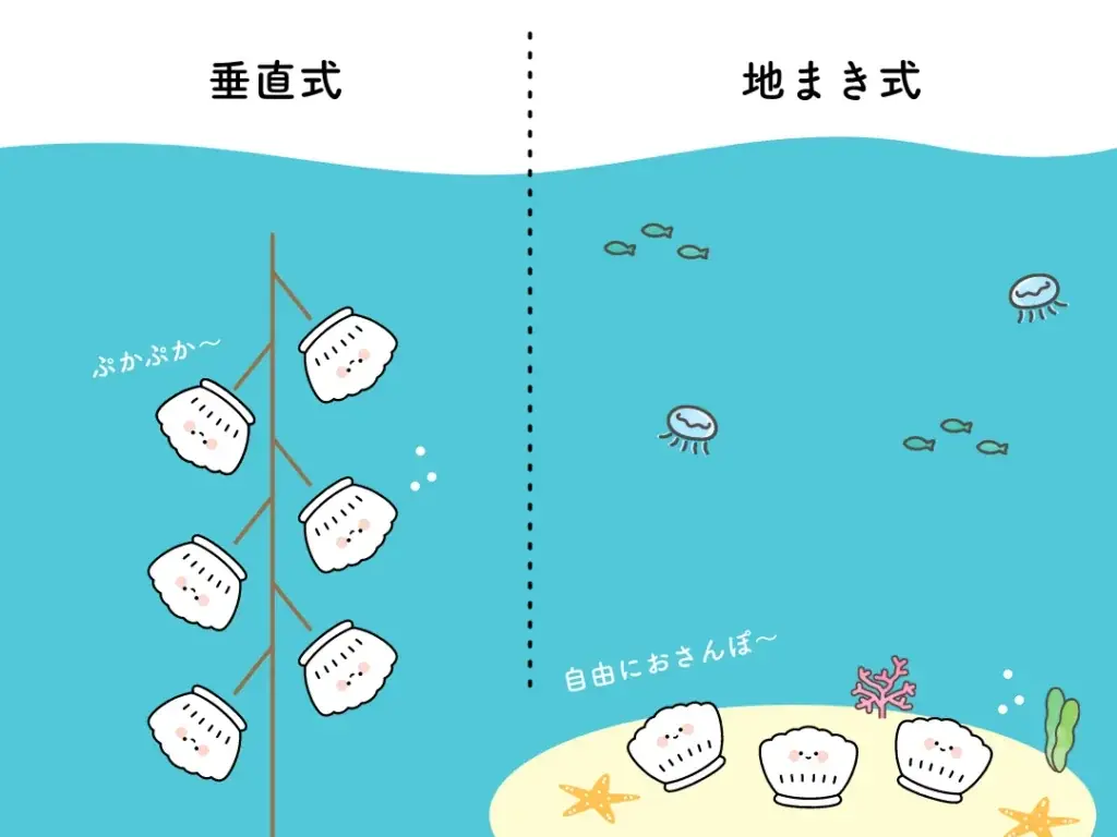 北海道興部（おこっぺ）町から、ふるさと納税でも人気のホタテをプレゼント！「もっと多くの人に食べていただきたい！」おこっぺ町観光協会がオンラインショップでキャンペーンをおこないます！ 画像 7