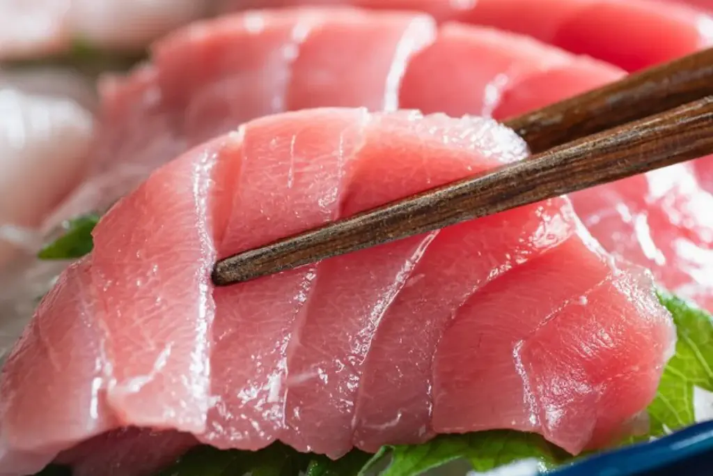 【天然本マグロが無料で食べ放題！】期間限定で中トロ刺身などが食べ放題！1日100食限定で「おすすめ屋PREMIUM名古屋駅店」に登場！ 画像 2