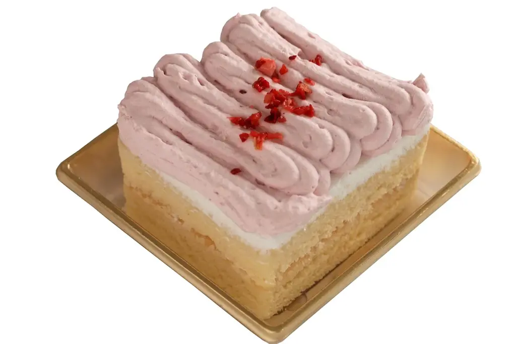 クリスマスは愛犬と一緒にほっこり旅！長野・蓼科の愛犬宿にて3大特典付クリスマスプラン販売｜～2025年12月25日 画像 2