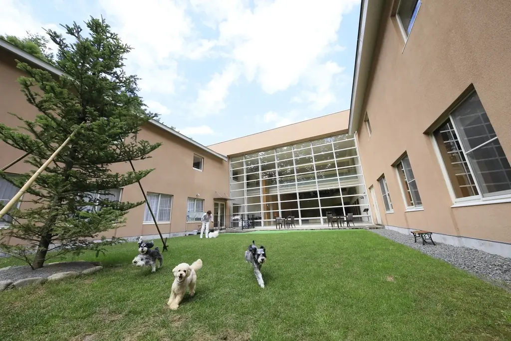 クリスマスは愛犬と一緒にほっこり旅！長野・蓼科の愛犬宿にて3大特典付クリスマスプラン販売｜～2025年12月25日 画像 4