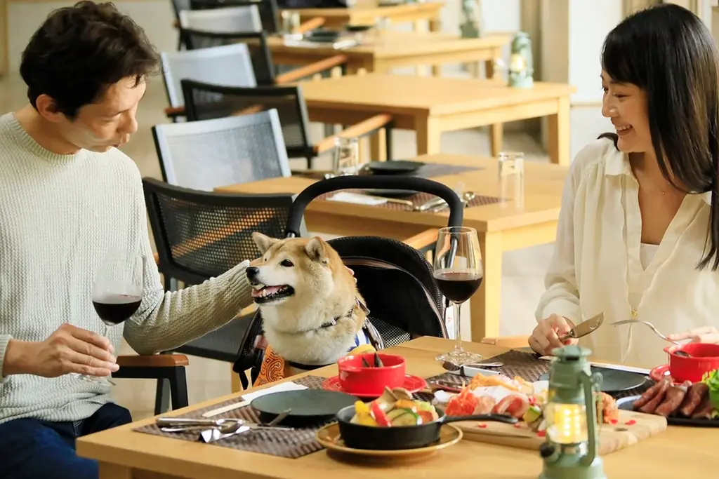 クリスマスは愛犬と一緒にほっこり旅！長野・蓼科の愛犬宿にて3大特典付クリスマスプラン販売｜～2025年12月25日 画像 7