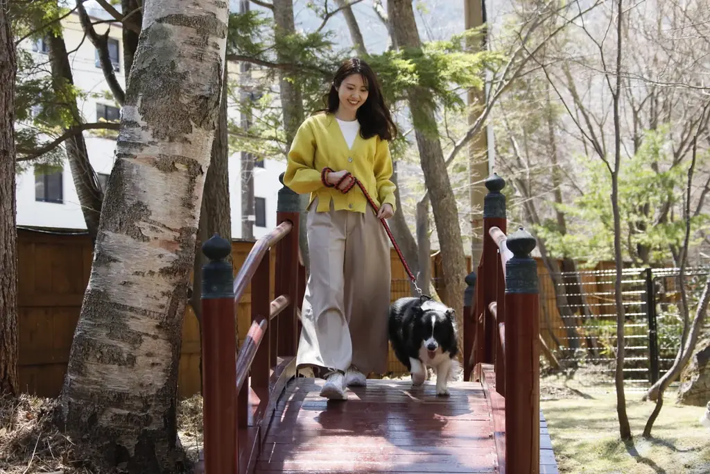 クリスマスは愛犬と一緒にほっこり旅！長野・蓼科の愛犬宿にて3大特典付クリスマスプラン販売｜～2025年12月25日 画像 8