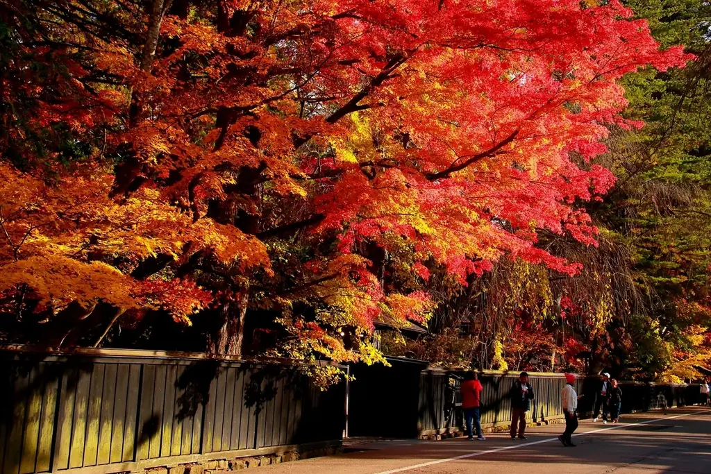 おもてなしせんぼく×極楽湯・RAKU SPA「仙北市食めぐりフェア」を開催 ～しあわせな未来のふるさと～ 画像 9