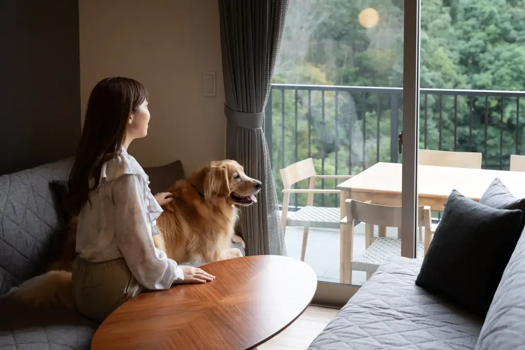 和歌山のヴィラリゾート『かなたのさと』でヤギの赤ちゃん誕生！ペア宿泊券が当たるメェメェ～（命名）募集キャンペーン実施 画像 5