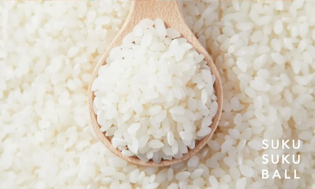 【SUKUSUKU BALL】お子さん・お孫さんの笑顔が見える限定BOXを特別価格で！クリスマスキャンペーンを11月11日より開始！ 画像 3