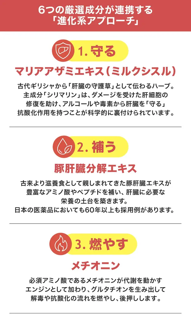 「飲む前にウコンの常識を変える新アプローチ、アルコール分解サポートサプリ『THE RED PILL』がクラウドファンディング11月12日スタート」 画像 4