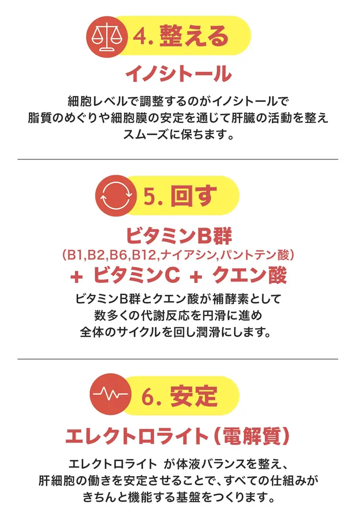 「飲む前にウコンの常識を変える新アプローチ、アルコール分解サポートサプリ『THE RED PILL』がクラウドファンディング11月12日スタート」 画像 5