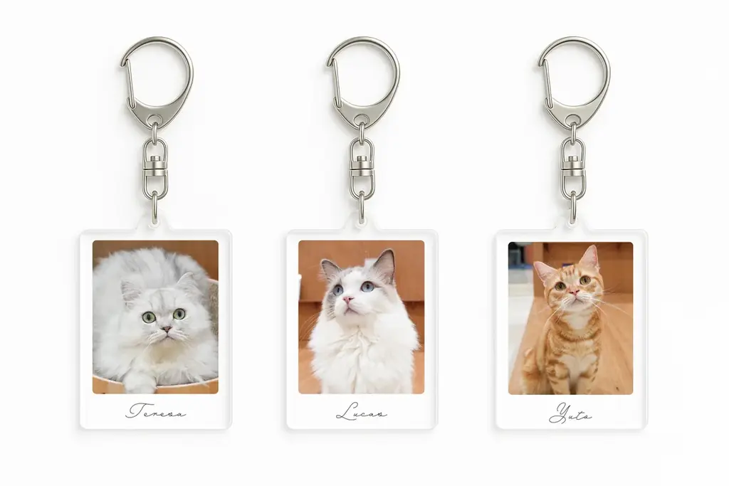 10万人が選んだ“推しネコ”がグッズに！『MOFFネコ総選挙』遂にフィナーレへ。 画像 10