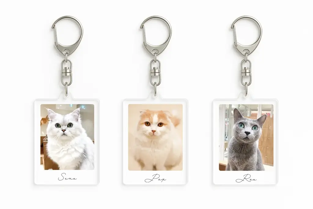 10万人が選んだ“推しネコ”がグッズに！『MOFFネコ総選挙』遂にフィナーレへ。 画像 11