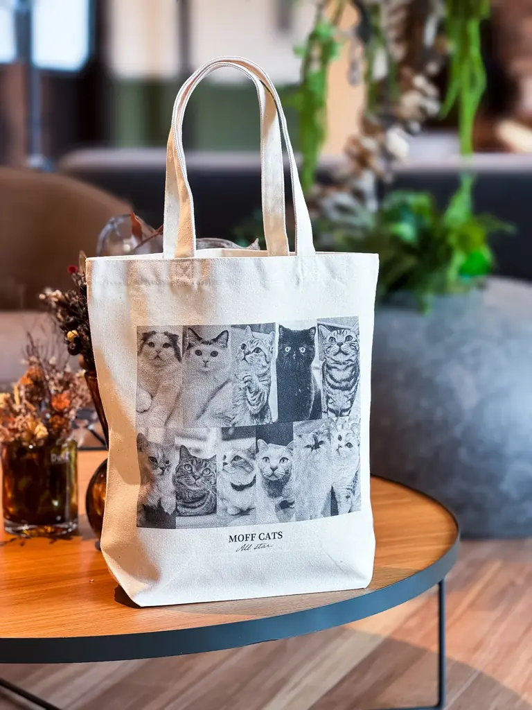 10万人が選んだ“推しネコ”がグッズに！『MOFFネコ総選挙』遂にフィナーレへ。 画像 2