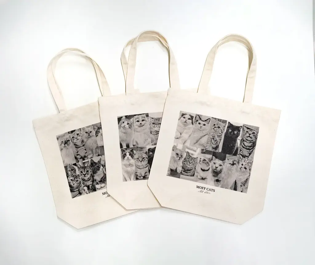 10万人が選んだ“推しネコ”がグッズに！『MOFFネコ総選挙』遂にフィナーレへ。 画像 3