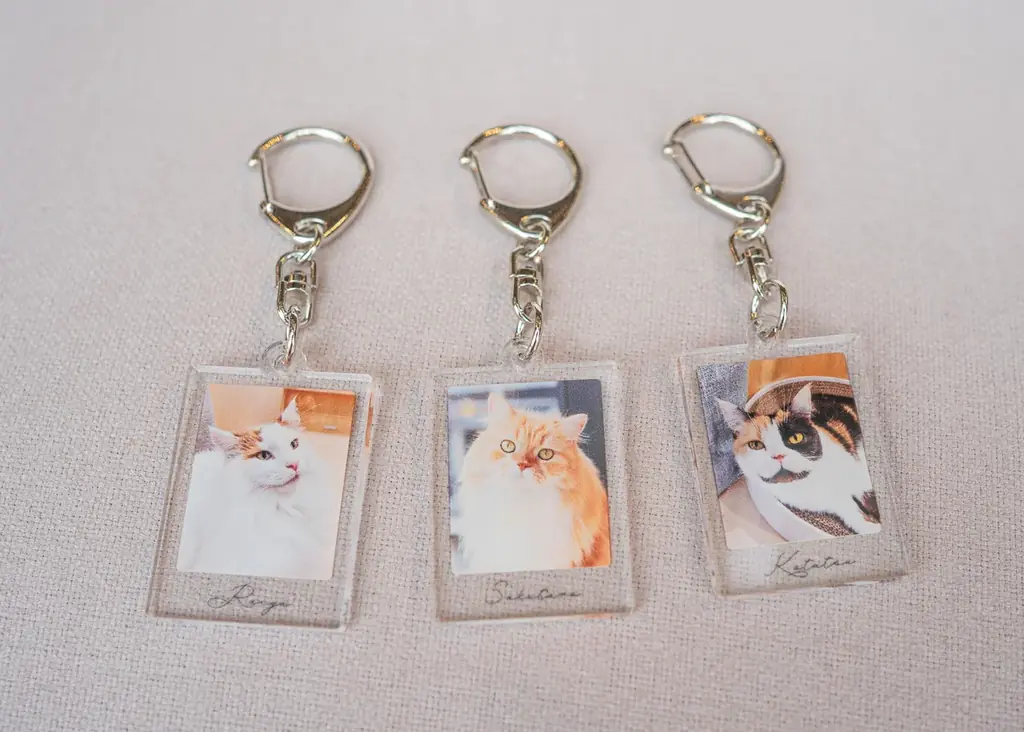 10万人が選んだ“推しネコ”がグッズに！『MOFFネコ総選挙』遂にフィナーレへ。 画像 7