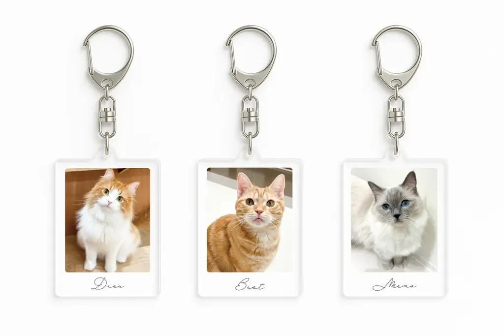 10万人が選んだ“推しネコ”がグッズに！『MOFFネコ総選挙』遂にフィナーレへ。 画像 8