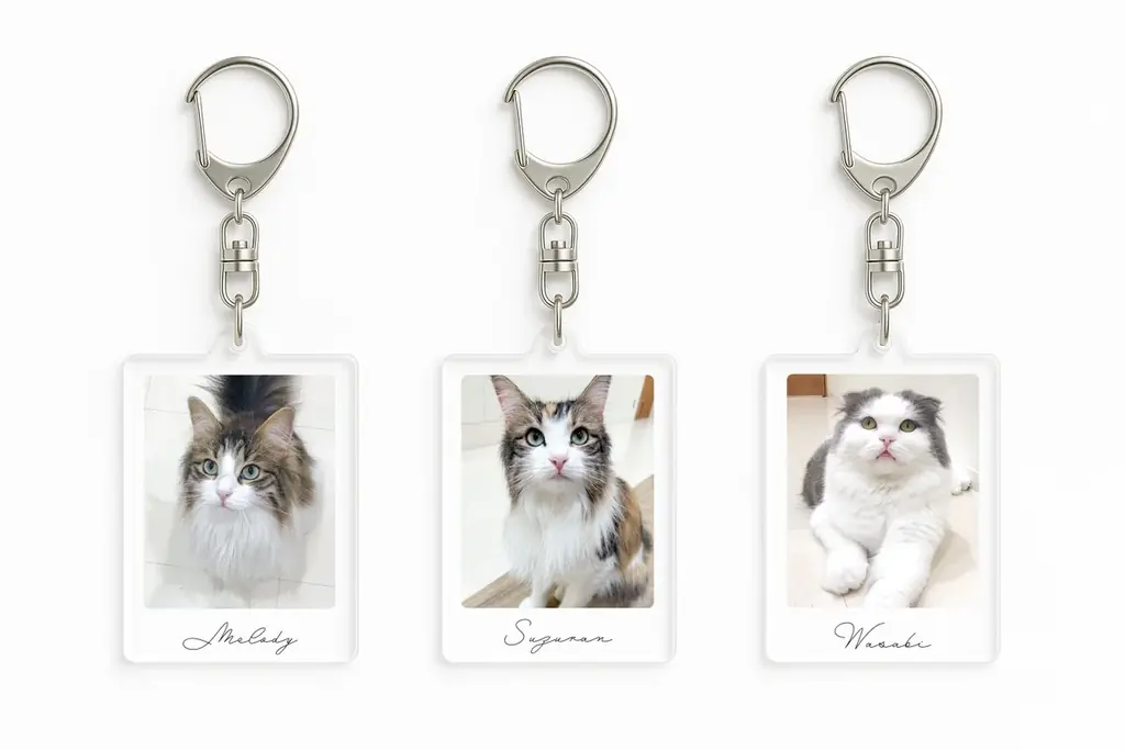 10万人が選んだ“推しネコ”がグッズに！『MOFFネコ総選挙』遂にフィナーレへ。 画像 9