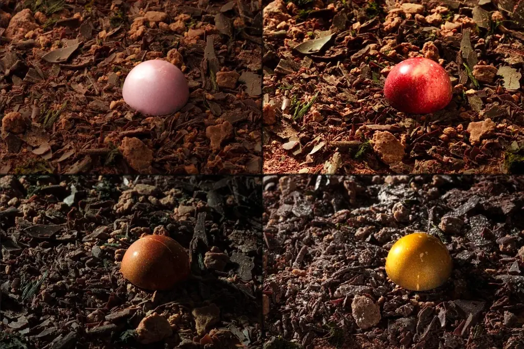 【Petit Maruju】新作ショコラアソート『やわらかな土の詩（うた）』発表。C.C.C.コンペティションにて初出場で「ゴールドタブレット」「Coup de Cœur」を獲得 画像 6