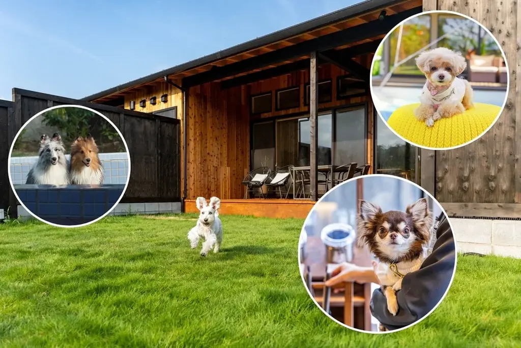 愛犬との特別な旅をもっと身近に、おトクに楽しむ会員限定サービスHEBEL HAUS×いぬやど「ペット旅行」のサービス開始 画像 4