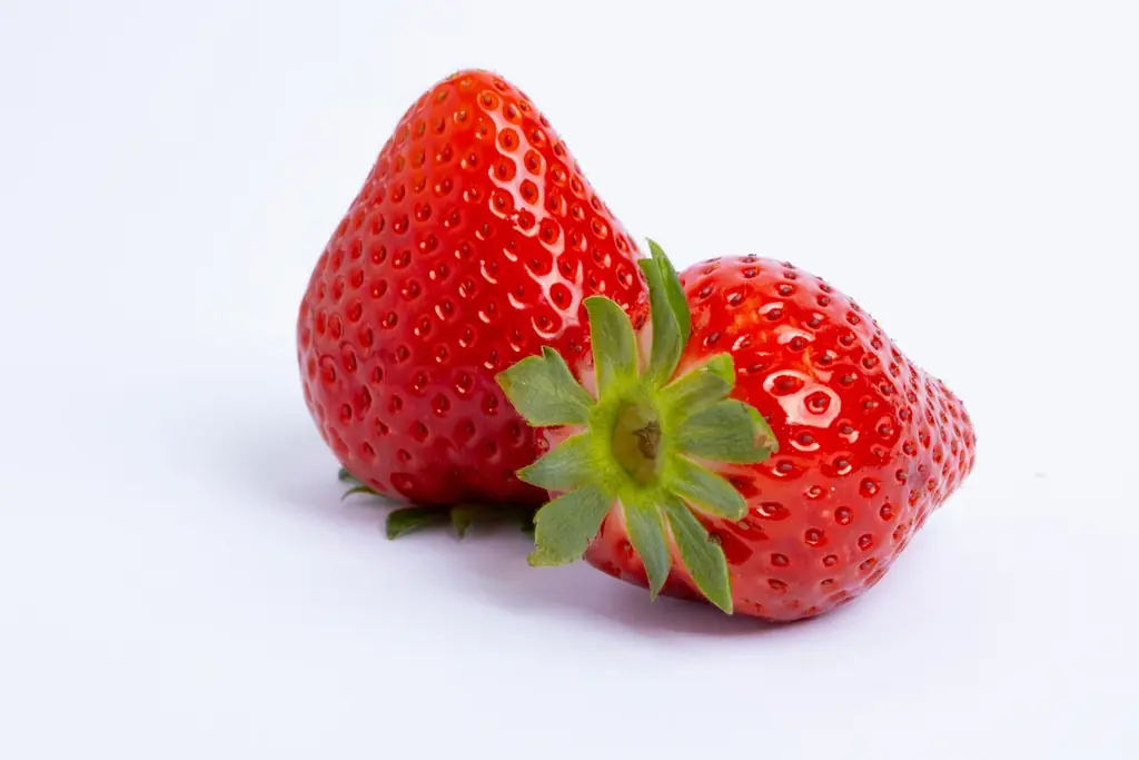 海抜251mの“いちごが実る冬の空の公園”で、いちごピクニック♪期間限定いちごスイーツやワークショップが楽しめる！＜てんぼうパーク いちごびより＞世界初！？展望台でのプチいちご狩り体験も 画像 11