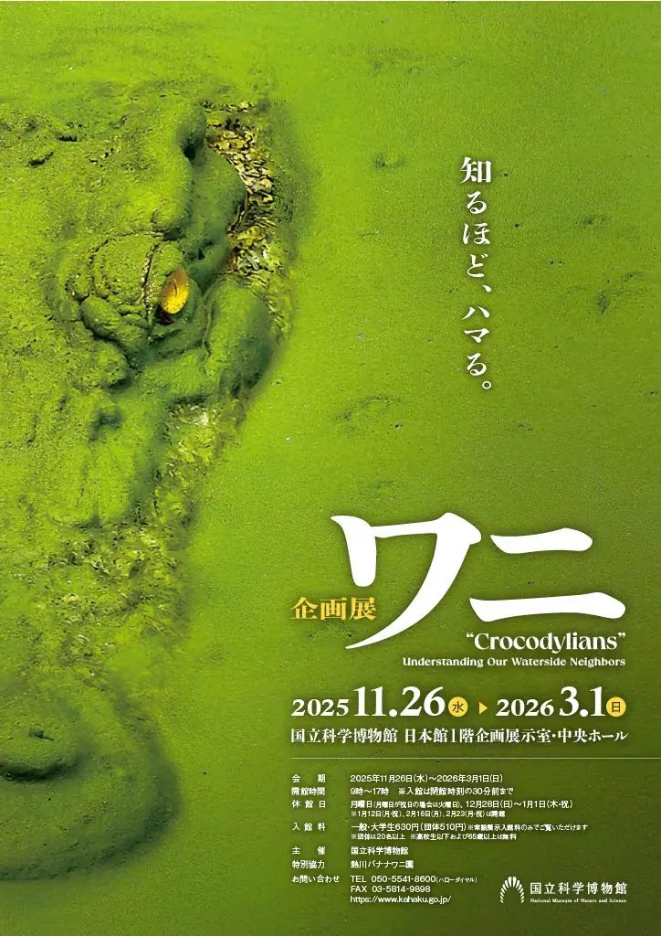 11/26開幕 国立科学博物館 企画展「ワニ」の見どころ