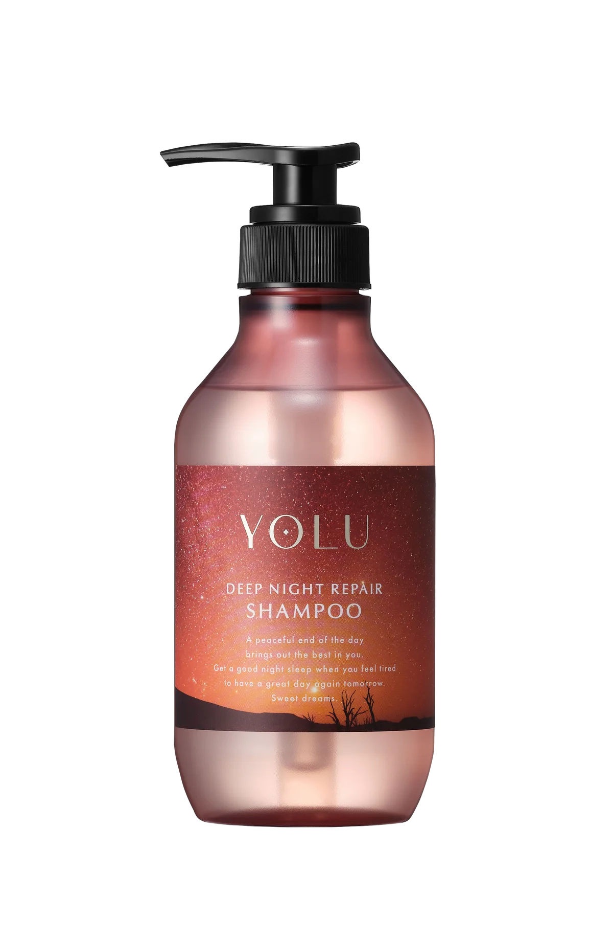 【YOLU銭湯コラボ】海外の星空をイメージした湯色や香りの『YOLUゆ』が初登場！限定バスタブレット＆ヘアケア「世界の星空を巡る旅シリーズ」体験イベントを11月開催 画像 25