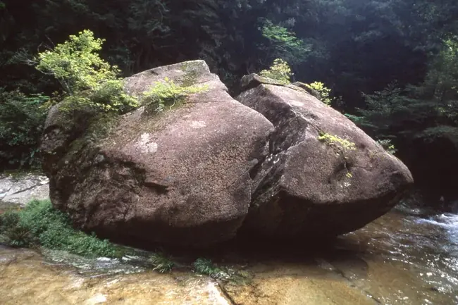 【岩座】神社ソムリエ・佐々木優太氏監修　精油《KiMiToWa》誕生 画像 8