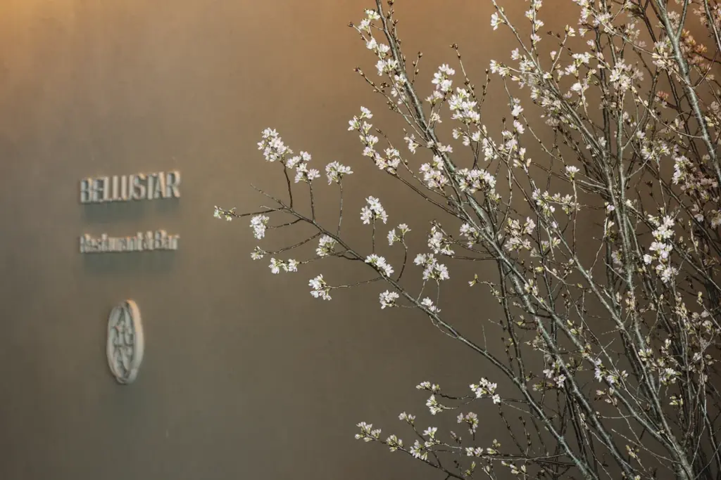 桜アップサイクルプロジェクト 第二弾、キュプラとラムウールで仕立てた『ホテルを彩った桜で染めたマフラー』が誕生 画像 6