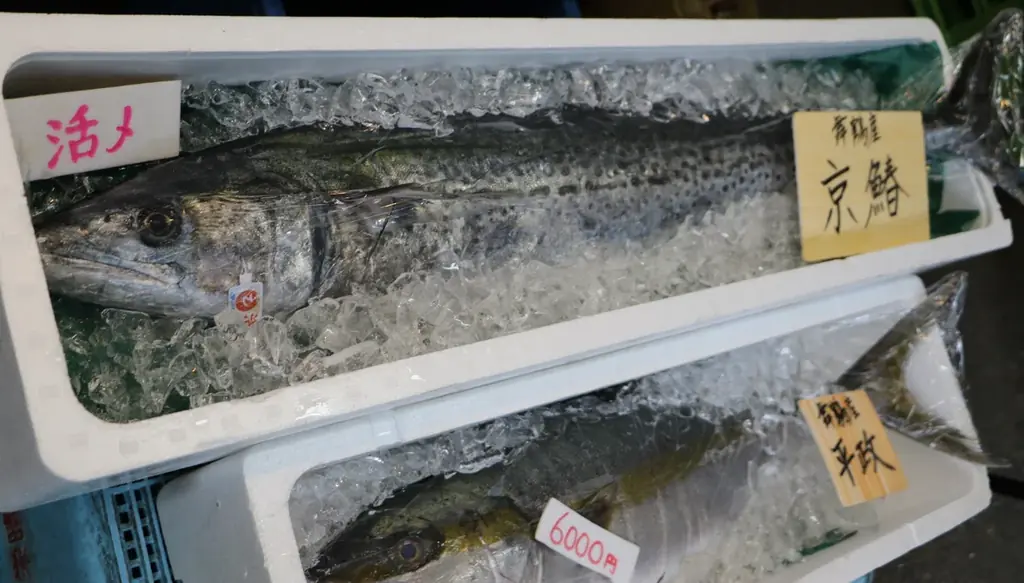 三田村邦彦が京都・舞鶴で絶品グルメ旅！京鰆しゃぶしゃぶ、漁港直送のどぐろ、絶景＆護衛艦見学も満喫 画像 3