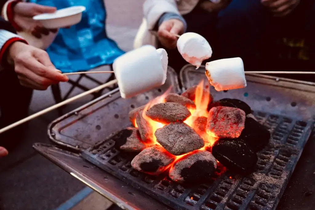【スカイランタンを飛ばせる】都内最大級のイルミネーション会場でワイルドな体験型クリスマスイベント「Outdoor Xmas Week」が12/13~23に開催決定！ 画像 6