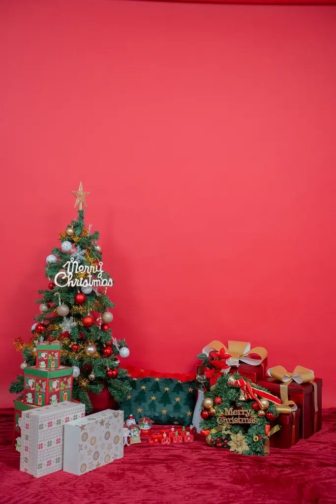 【予約開始】東京・大塚の「本格セルフ写真館」INAI LIFE が＜クリスマス限定ブース＞を11/15より提供開始 画像 6