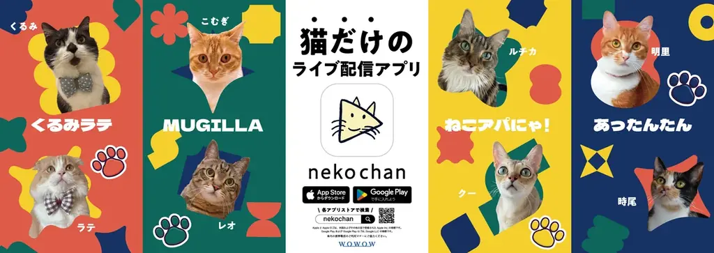 nekochan渋谷ポスター掲出