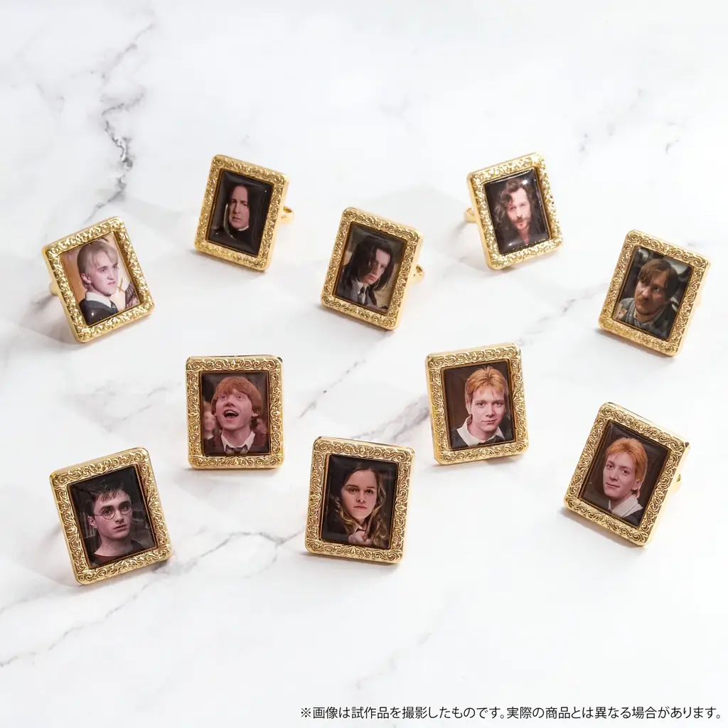 『Harry Potter』より新商品のグッズが登場！特典ポストカードがもらえるフェアが今年も全国アニメイトにて開催！ 画像 3