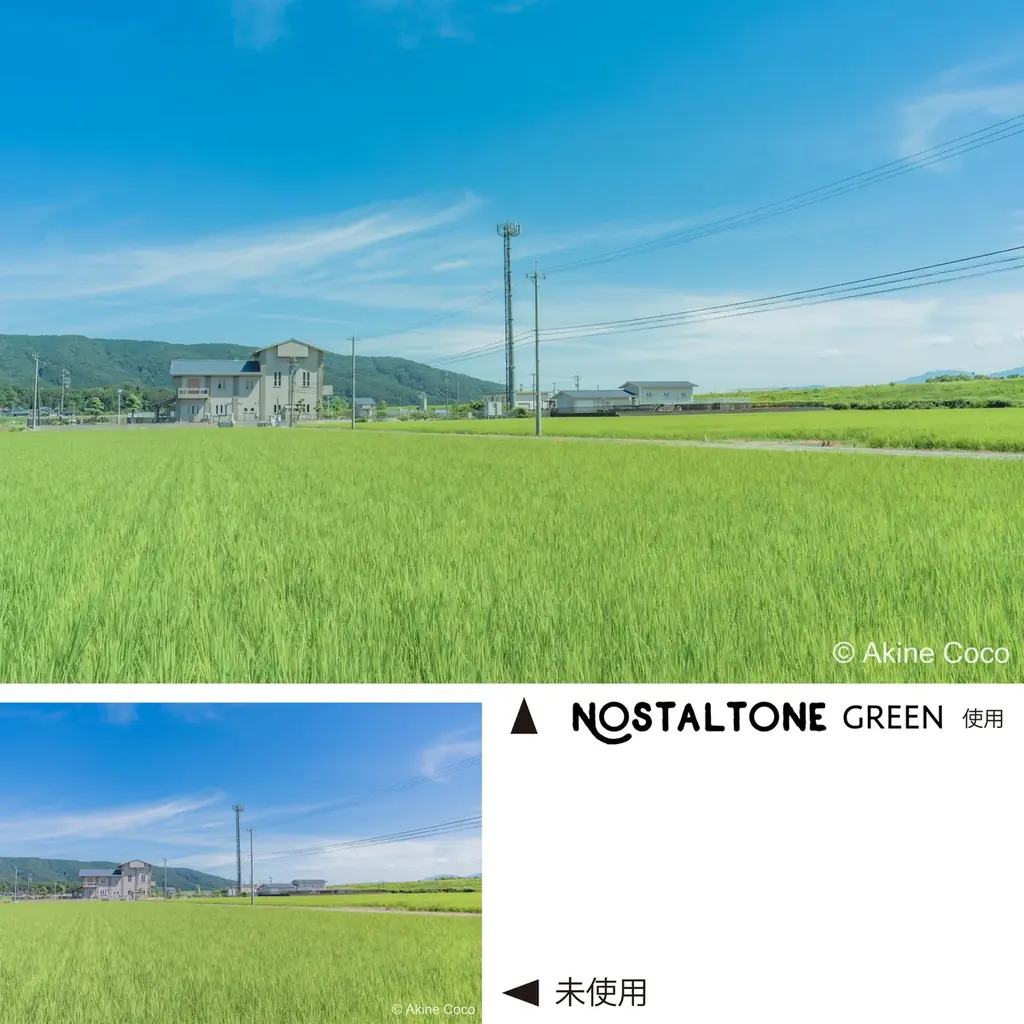 アニメのワンシーンのように、ノスタルジックに表現するフィルター〈ノスタルトーン〉シリーズの新色「ノスタルトーン・グリーン」 画像 3