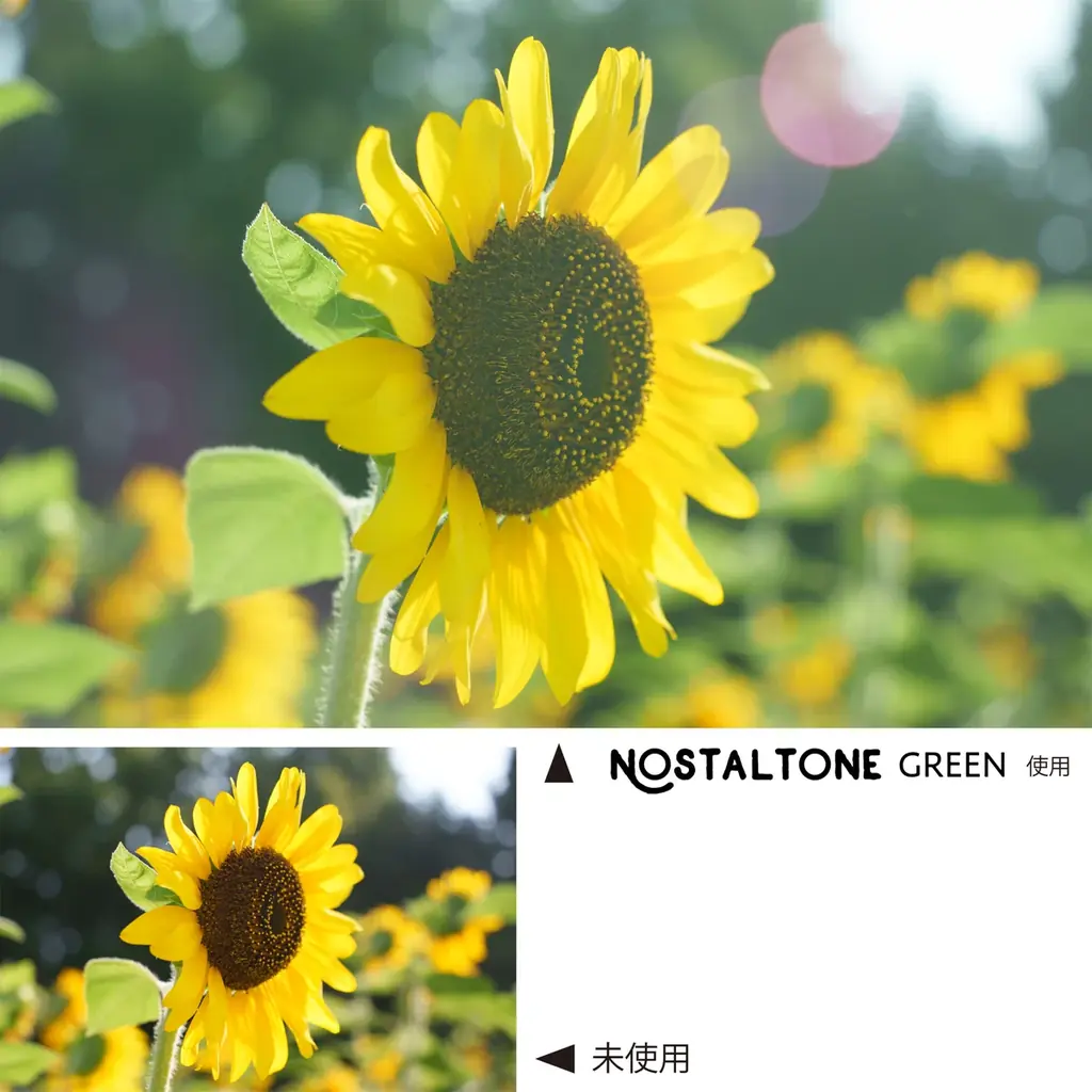 アニメのワンシーンのように、ノスタルジックに表現するフィルター〈ノスタルトーン〉シリーズの新色「ノスタルトーン・グリーン」 画像 4