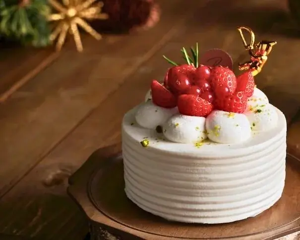 【BEYOND SWEETS】小麦・白砂糖・バター・卵不使用のプラントベース《新発売》クリスマス限定「グルテンフリークッキー缶」 画像 9